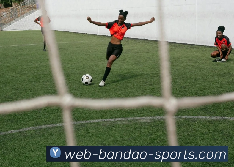 半岛体育服务体系